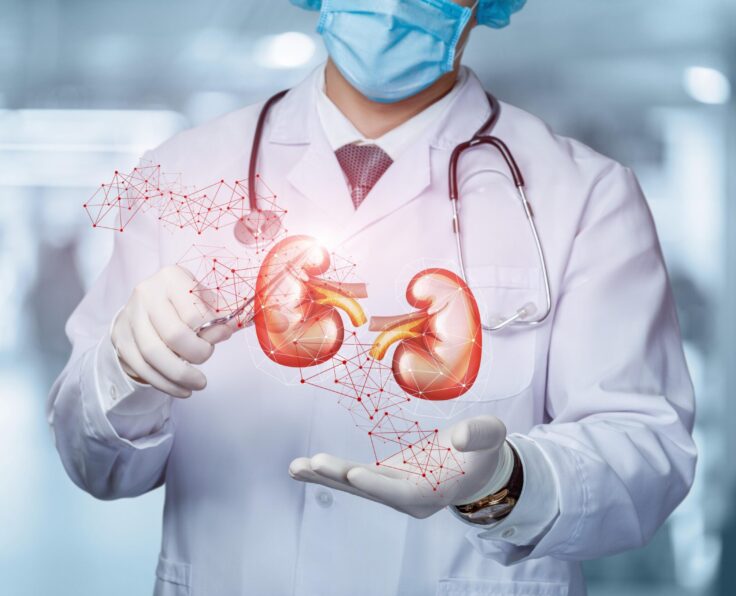 The concept of surgical treatment of the kidneys.